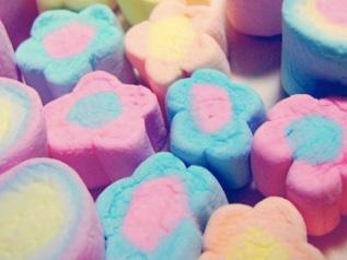 Marshmallow Production Line
