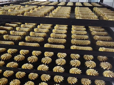 Soft Biscuit Production Line